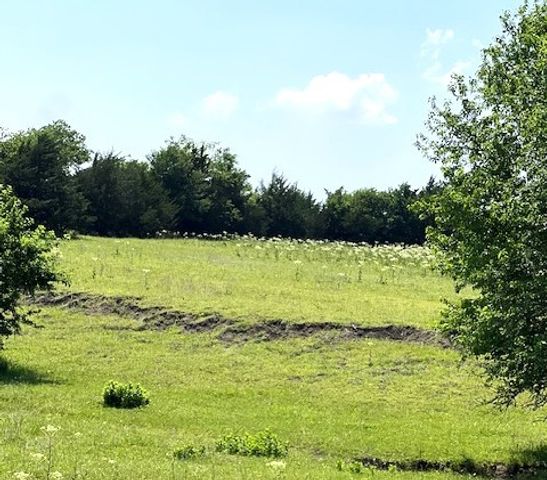TBD CR 663, Farmersville, TX 75442