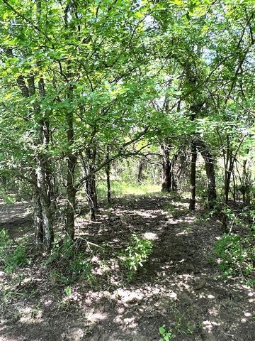 TBD CR 663, Farmersville, TX 75442