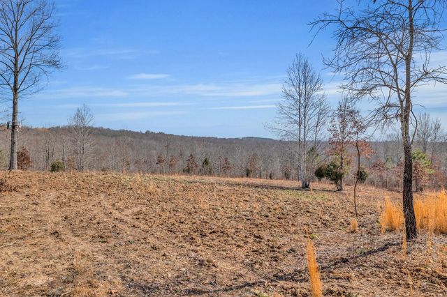 262 Deer Haven Rd, Indian Mound, TN 37079