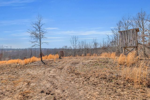 262 Deer Haven Rd, Indian Mound, TN 37079