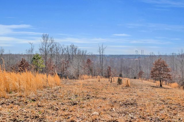 262 Deer Haven Rd, Indian Mound, TN 37079