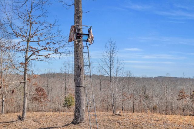 262 Deer Haven Rd, Indian Mound, TN 37079