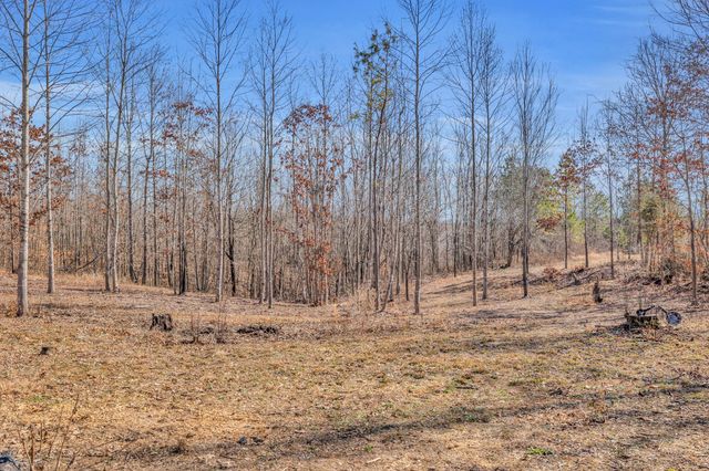 262 Deer Haven Rd, Indian Mound, TN 37079