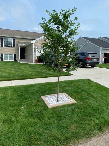 8025 W Sturtevant Avenue, Richland Twp, MI 49083