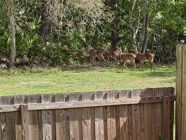 1010 BRIELLE AVENUE, Oviedo, FL 32765