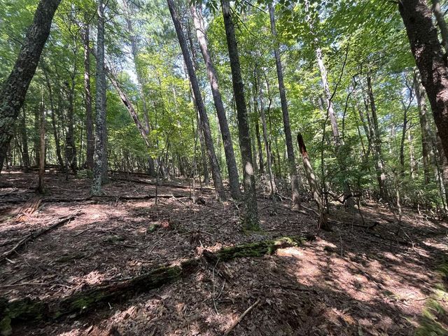 P 10 Gold Mine Drive, Ellijay, GA 30536