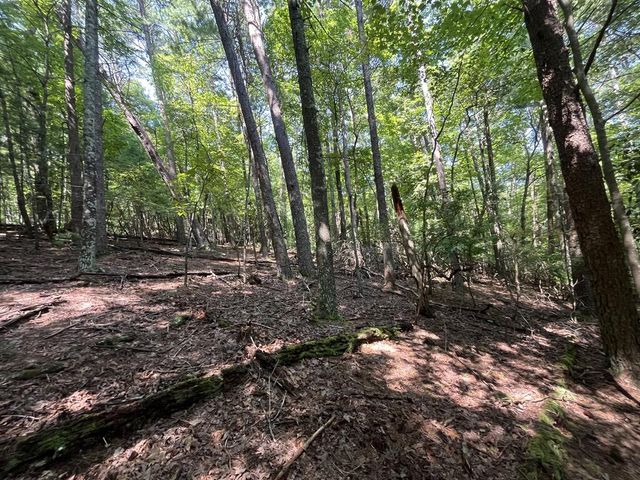 P 10 Gold Mine Drive, Ellijay, GA 30536
