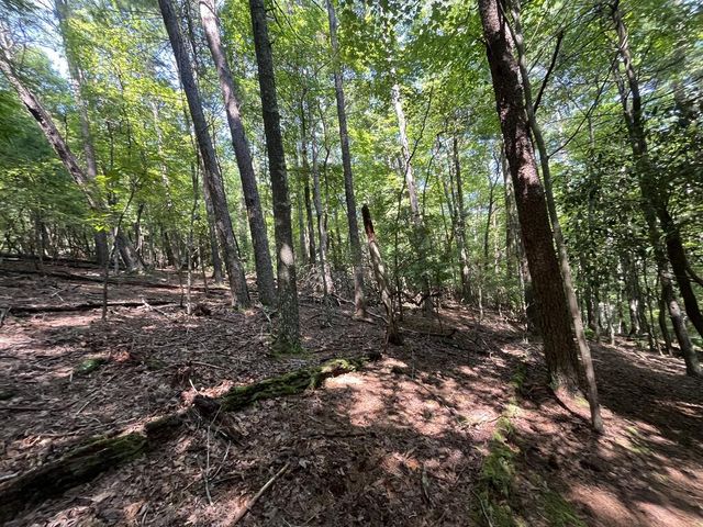 P 10 Gold Mine Drive, Ellijay, GA 30536