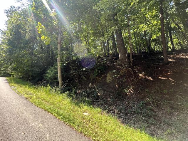 P 10 Gold Mine Drive, Ellijay, GA 30536