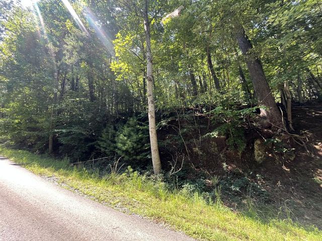P 10 Gold Mine Drive, Ellijay, GA 30536