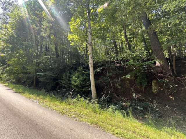 P 10 Gold Mine Drive, Ellijay, GA 30536