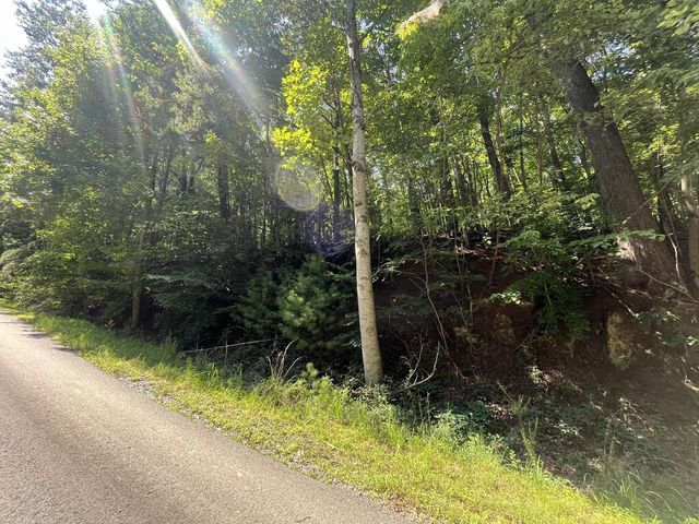 P 10 Gold Mine Drive, Ellijay, GA 30536