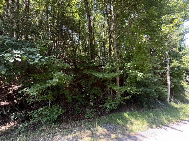 P 10 Gold Mine Drive, Ellijay, GA 30536