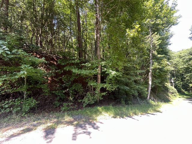 P 10 Gold Mine Drive, Ellijay, GA 30536