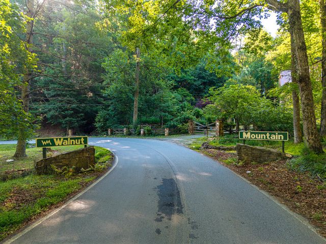 P 10 Gold Mine Drive, Ellijay, GA 30536