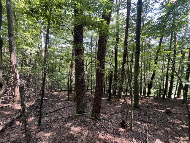P 10 Gold Mine Drive, Ellijay, GA 30536
