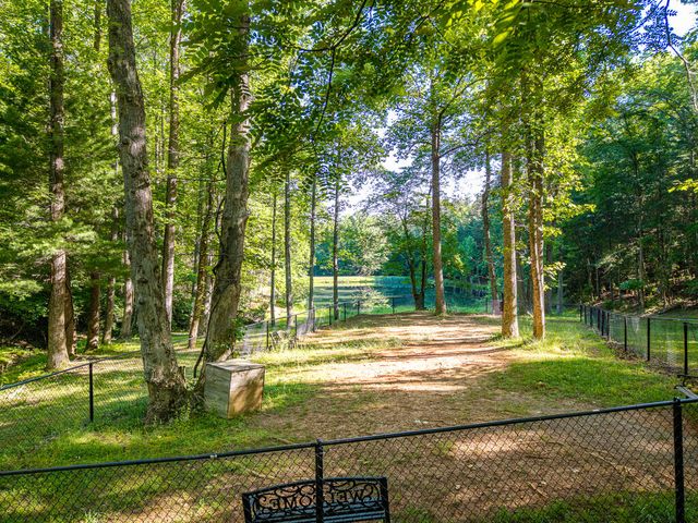 P 10 Gold Mine Drive, Ellijay, GA 30536