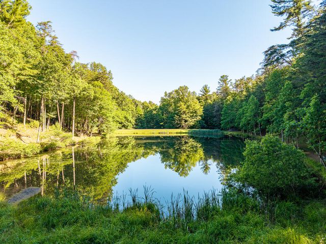 P 10 Gold Mine Drive, Ellijay, GA 30536