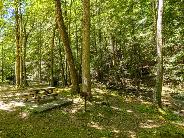 P 10 Gold Mine Drive, Ellijay, GA 30536