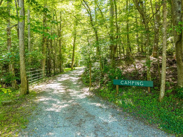 P 10 Gold Mine Drive, Ellijay, GA 30536
