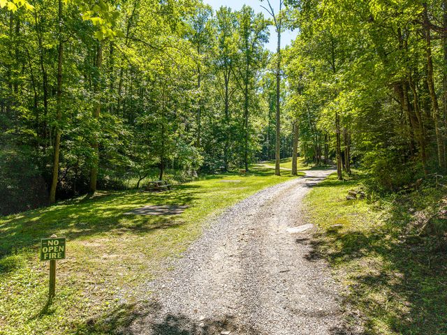 P 10 Gold Mine Drive, Ellijay, GA 30536