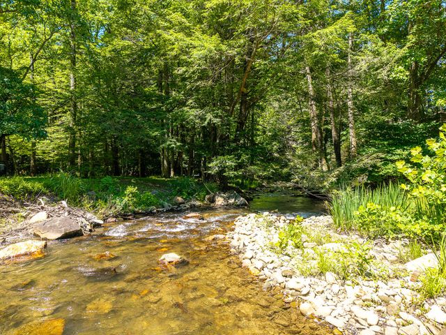 P 10 Gold Mine Drive, Ellijay, GA 30536