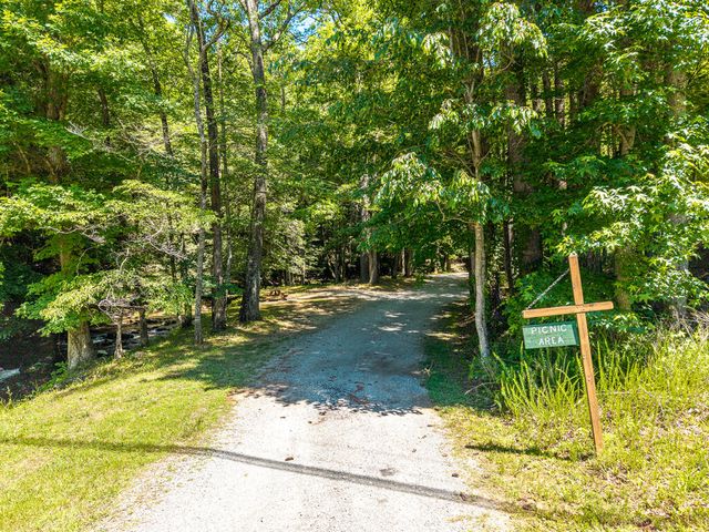P 10 Gold Mine Drive, Ellijay, GA 30536