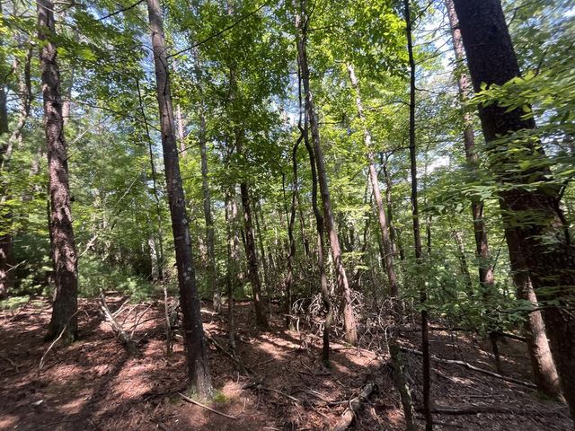 P 10 Gold Mine Drive, Ellijay, GA 30536