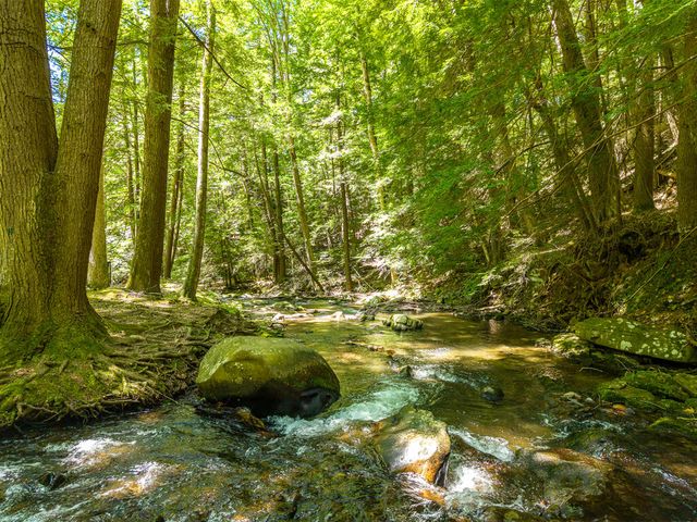 P 10 Gold Mine Drive, Ellijay, GA 30536