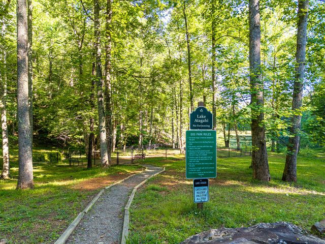 P 10 Gold Mine Drive, Ellijay, GA 30536