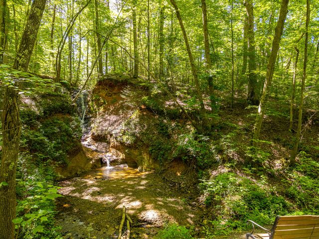P 10 Gold Mine Drive, Ellijay, GA 30536