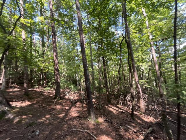 P 10 Gold Mine Drive, Ellijay, GA 30536