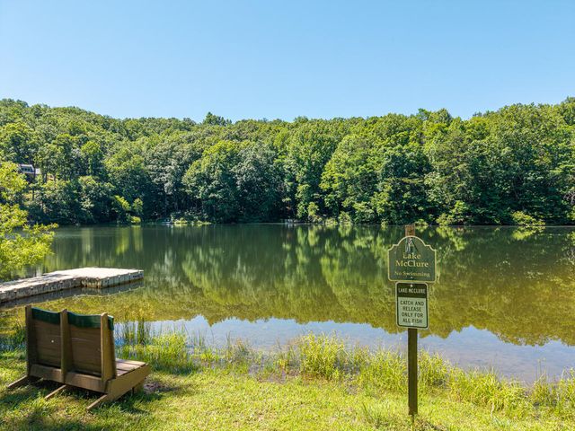 P 10 Gold Mine Drive, Ellijay, GA 30536