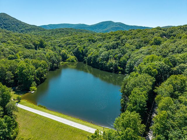 P 10 Gold Mine Drive, Ellijay, GA 30536