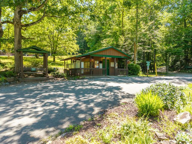 P 10 Gold Mine Drive, Ellijay, GA 30536
