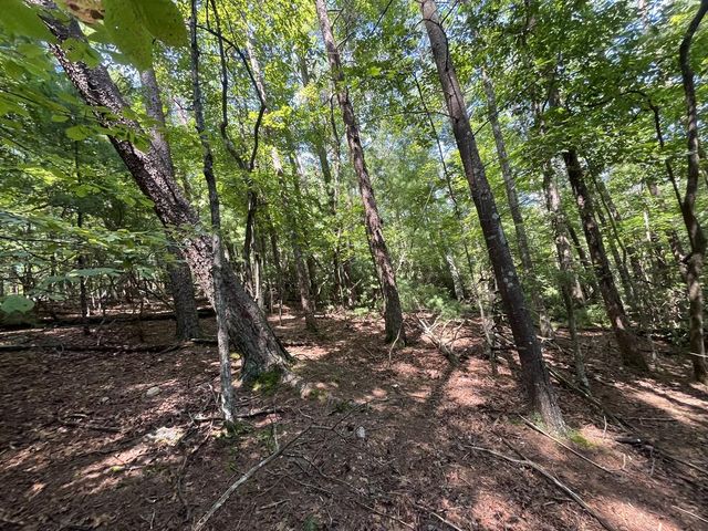 P 10 Gold Mine Drive, Ellijay, GA 30536