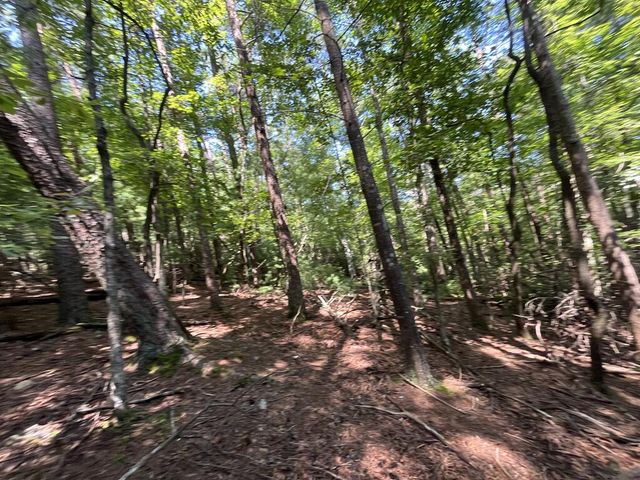 P 10 Gold Mine Drive, Ellijay, GA 30536
