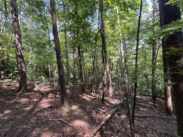 P 10 Gold Mine Drive, Ellijay, GA 30536