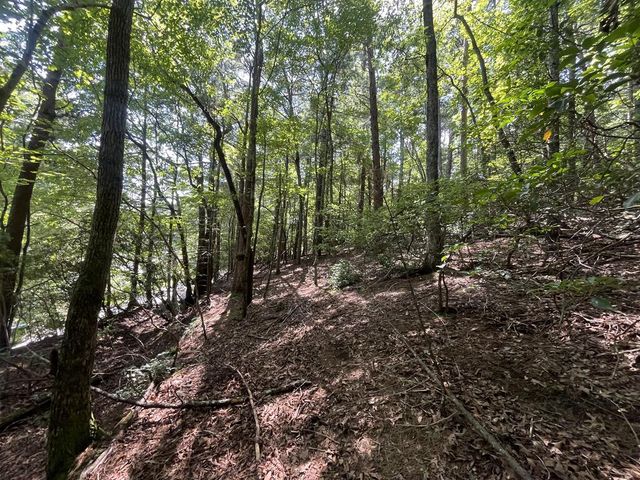 P 10 Gold Mine Drive, Ellijay, GA 30536