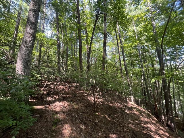 P 10 Gold Mine Drive, Ellijay, GA 30536