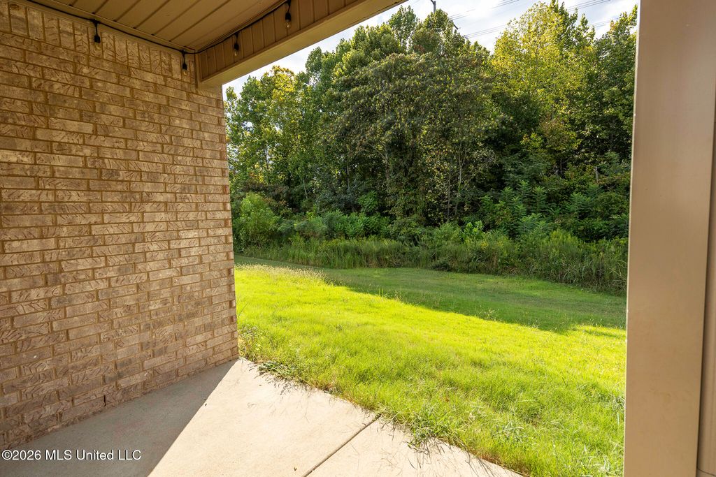 8781 Mary Frances Drive, Southaven, MS 38671 — photo 3