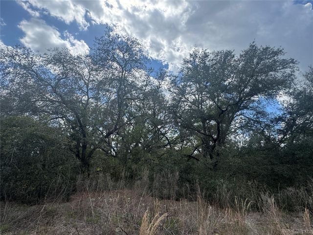 tbd SE 131ST TERRACE, Dunnellon, FL 34431