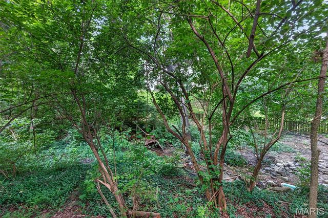 35 Wildwood Lane, Kirkwood, MO 63122