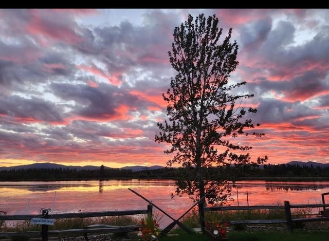 465 Guinevere Dr, Usk, WA 99180