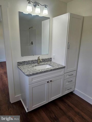 14208 BRIGHT DIAMOND DR, Greenwood, DE 19950
