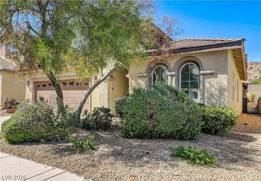 1133 Denman Valley Street, Henderson, NV 89002 — exterior