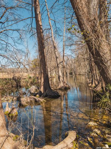 1076 Blue Bonnet Hill, Spring Branch, TX 78070