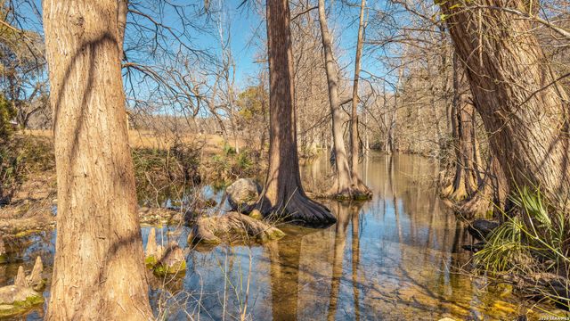 1076 Blue Bonnet Hill, Spring Branch, TX 78070
