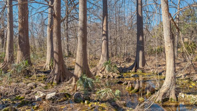 1076 Blue Bonnet Hill, Spring Branch, TX 78070