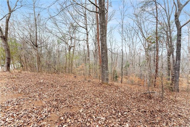 290 Silver Fox Drive, Dawsonville, GA 30534